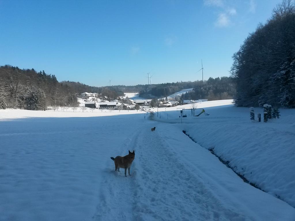 Ferienwohnung Am Kapellenaecker Neumarkt in der Oberpfalz Exterior foto